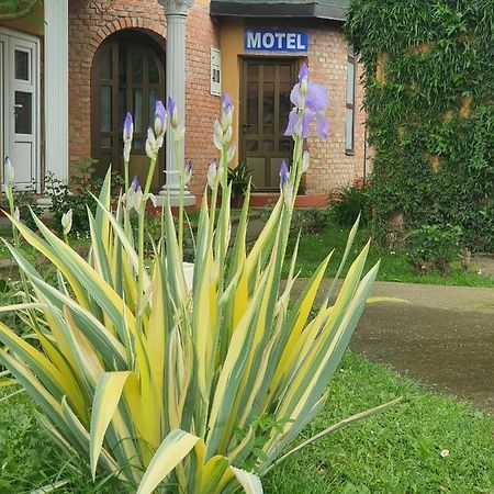 Motel Zoka Dvorovi Kültér fotó